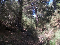 rrente Quarantore-20110911 052